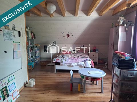 photo no. 19