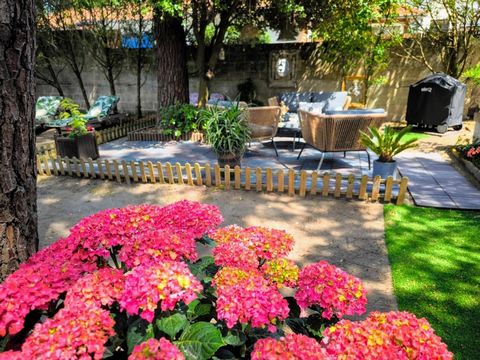 photo no. 12