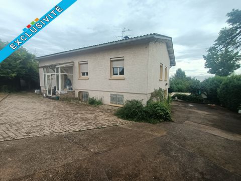 photo no. 2