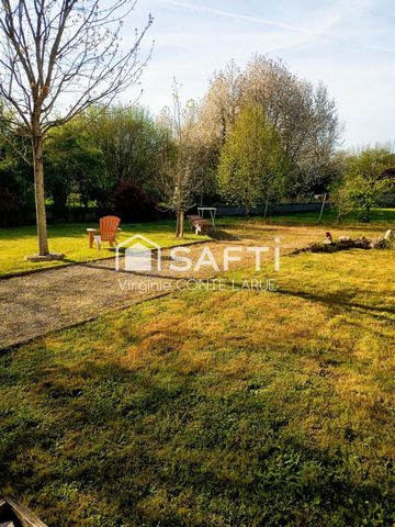 photo no. 11
