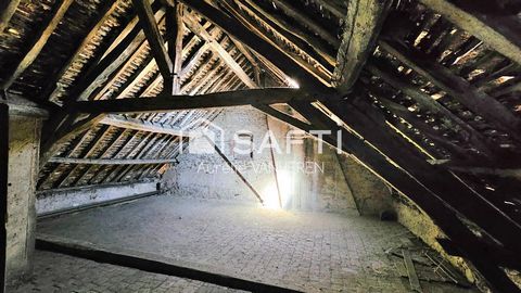 photo no. 8