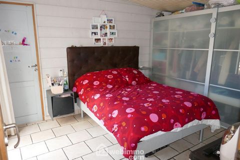 photo no. 13