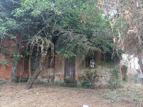 MORADIA T2 EM EIRAS Moradia para reconstrução, com terreno composto por dois artigos um rustico e um urbano, com área total de 418m2 sitiado em Redonda. Com vistas desafogadas. Ao seu dispor para mais informações.   ;ID RE/MAX: ...