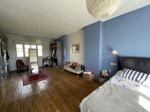 photo no. 11