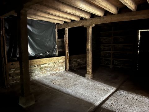 photo no. 11