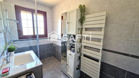 photo no. 12