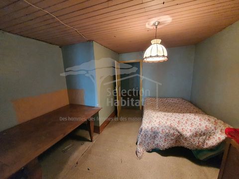 photo no. 16