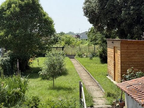 photo no. 16