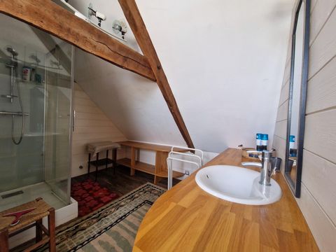photo no. 12