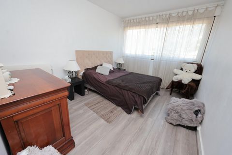 photo no. 8