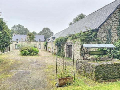 photo no. 4