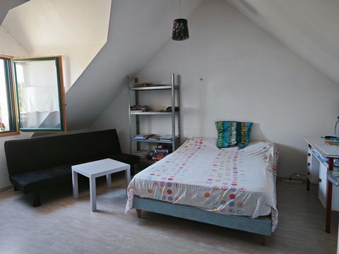 photo no. 9
