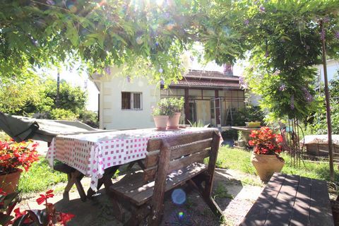 photo no. 16