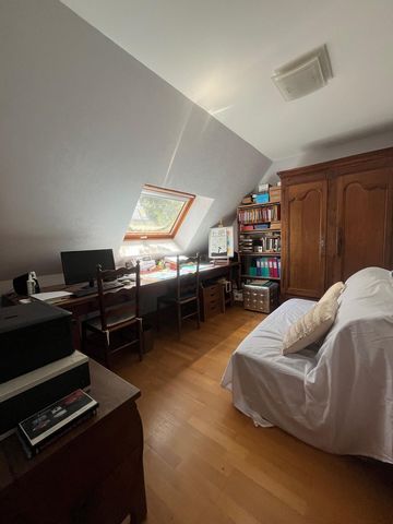 photo no. 7