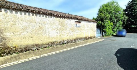 photo no. 14