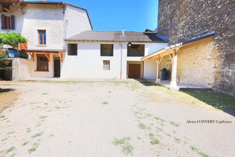 photo no. 2