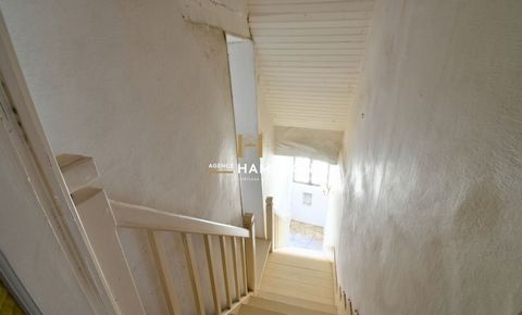 photo no. 8