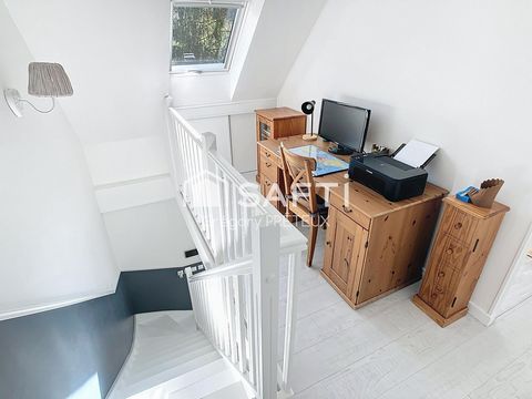 photo no. 12