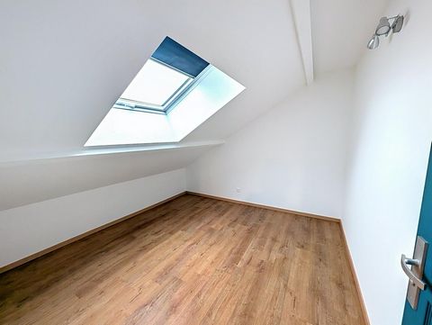 photo no. 8