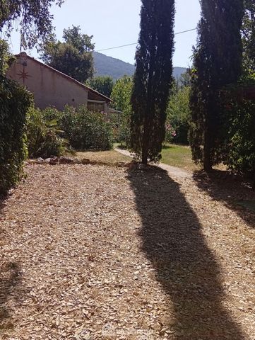 photo no. 8