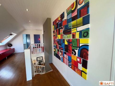 photo no. 11