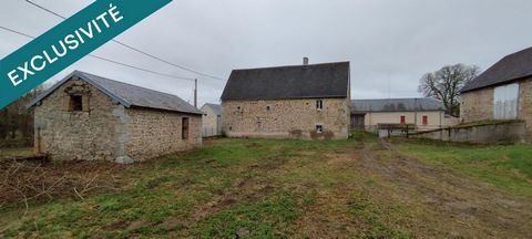 photo no. 4