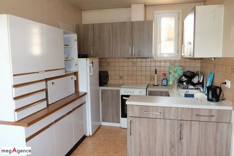 photo no. 12
