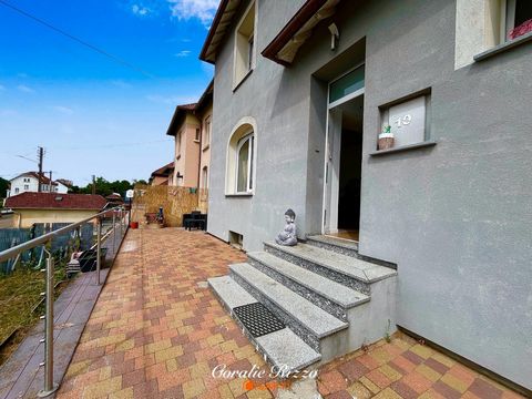 photo no. 19