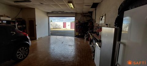 photo no. 13
