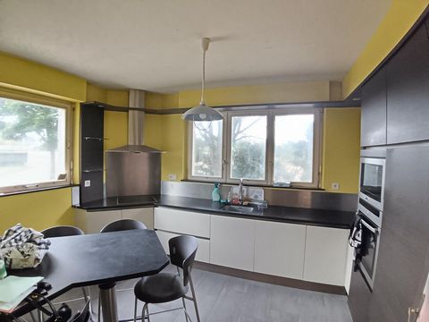 photo no. 2