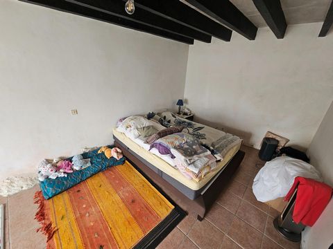 photo no. 5