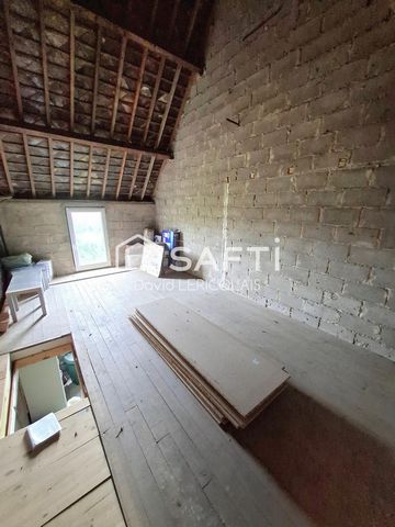 photo no. 11