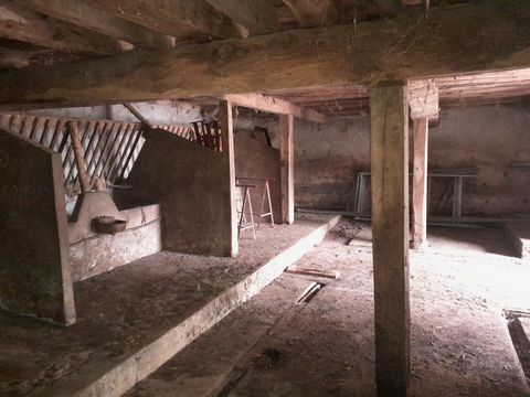 photo no. 14