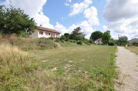 photo no. 2