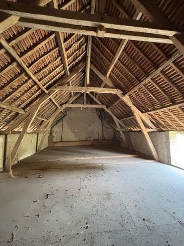 photo no. 14