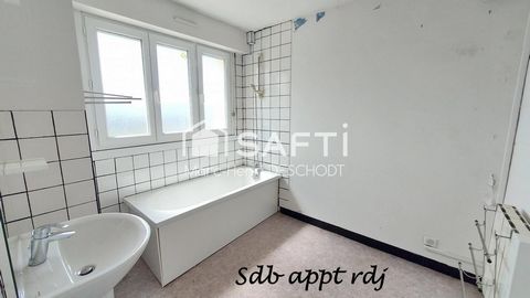 photo no. 5