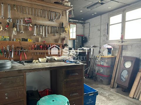 photo no. 11