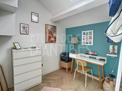 photo no. 11
