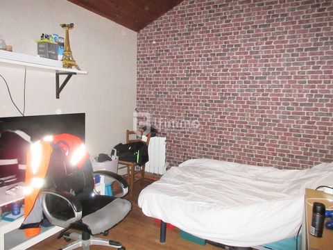 photo no. 8