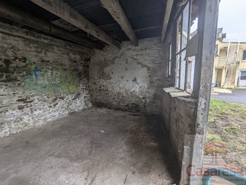 photo no. 3