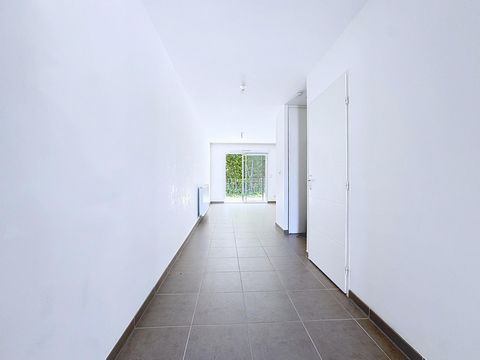 photo no. 3