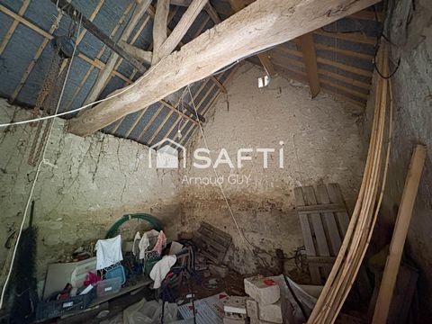 photo no. 5