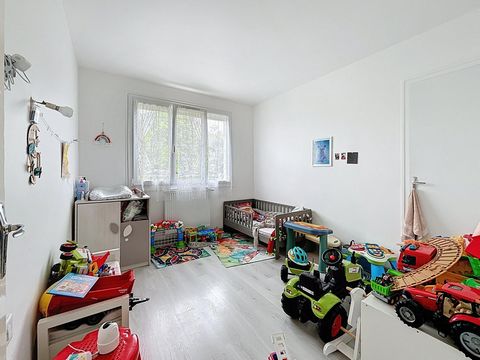 photo no. 6