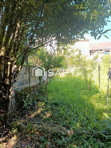 photo no. 15