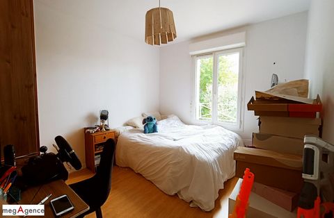 photo no. 12