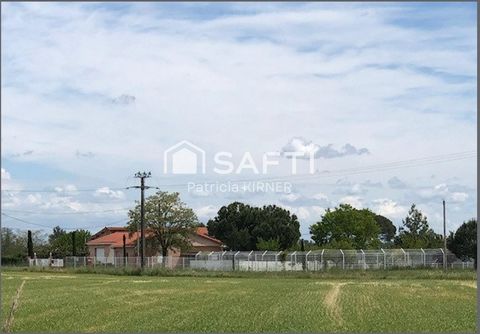 photo no. 15