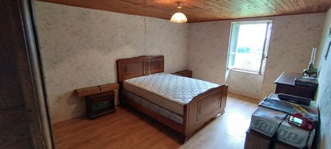 photo no. 9