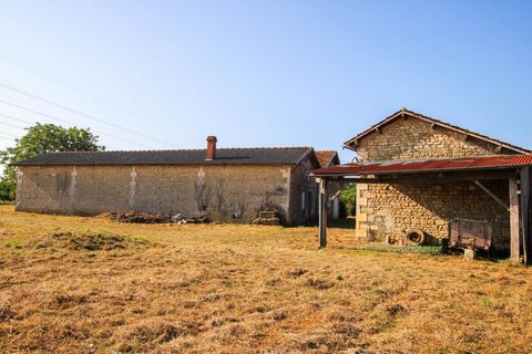 photo no. 16