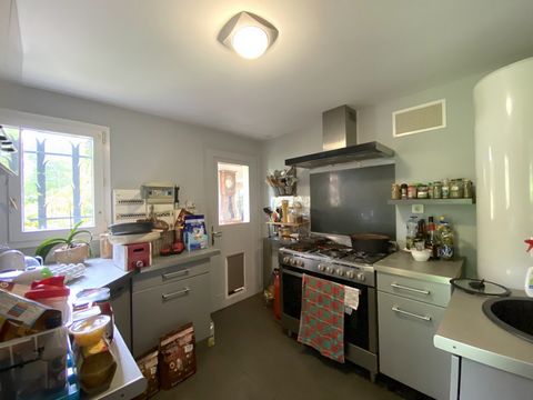 photo no. 6