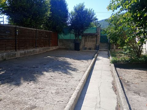 photo no. 3